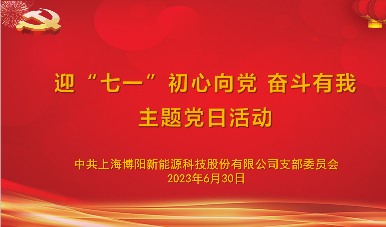 博阳新能党支部组织开展“迎‘七一’，初心向党，奋斗有我”主题党日活动